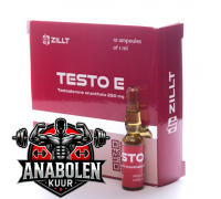 Testosterone Enanthate Testo E 250 mg/ml - Zillt Medicine