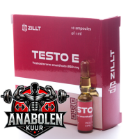 Testosterone Enanthate Testo E 250 mg/ml - Zillt Medicine