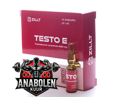 Testosterone Enanthate Testo E 250 mg/ml - Zillt Medicine