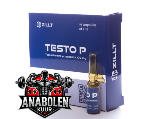Testosterone Propionate Testo P 100 mg/ml - Zillt Medicine