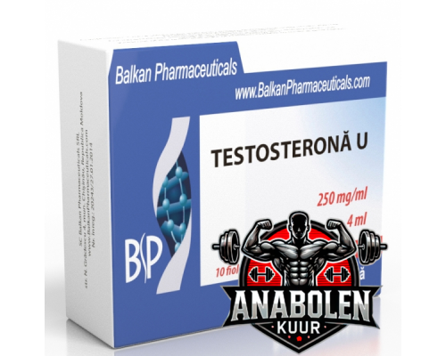 Testosterone Undecanoate Balkan Testosterone U 250 mg