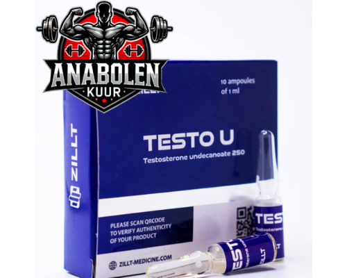 Testosterone Undecanoate Zillt Medicine Testo U 250 mg/ml