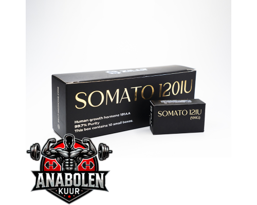 Growth Hormone Zillt Medicine Somato 120 IU